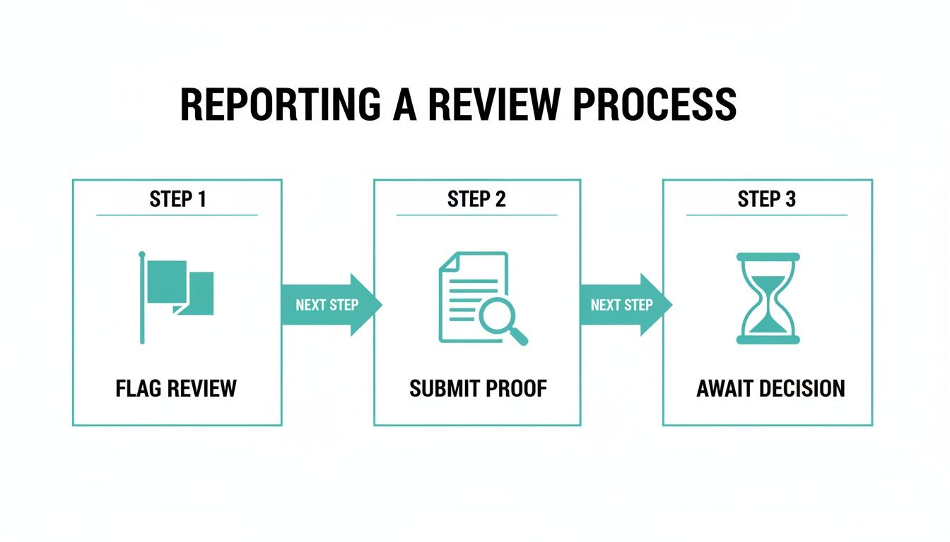 An infographic illustrating a three-step process for reporting a review: Flag, Submit Proof, Await Decision.